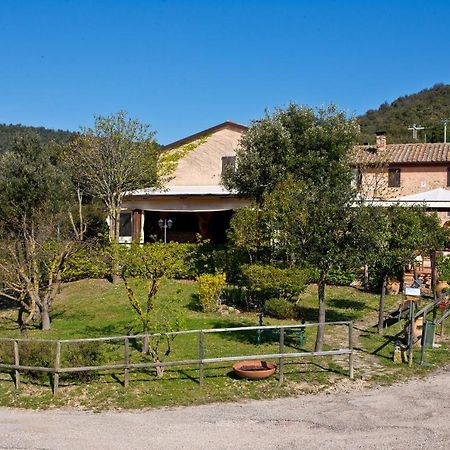Agriturismo Torre Burchio Bettona Ngoại thất bức ảnh